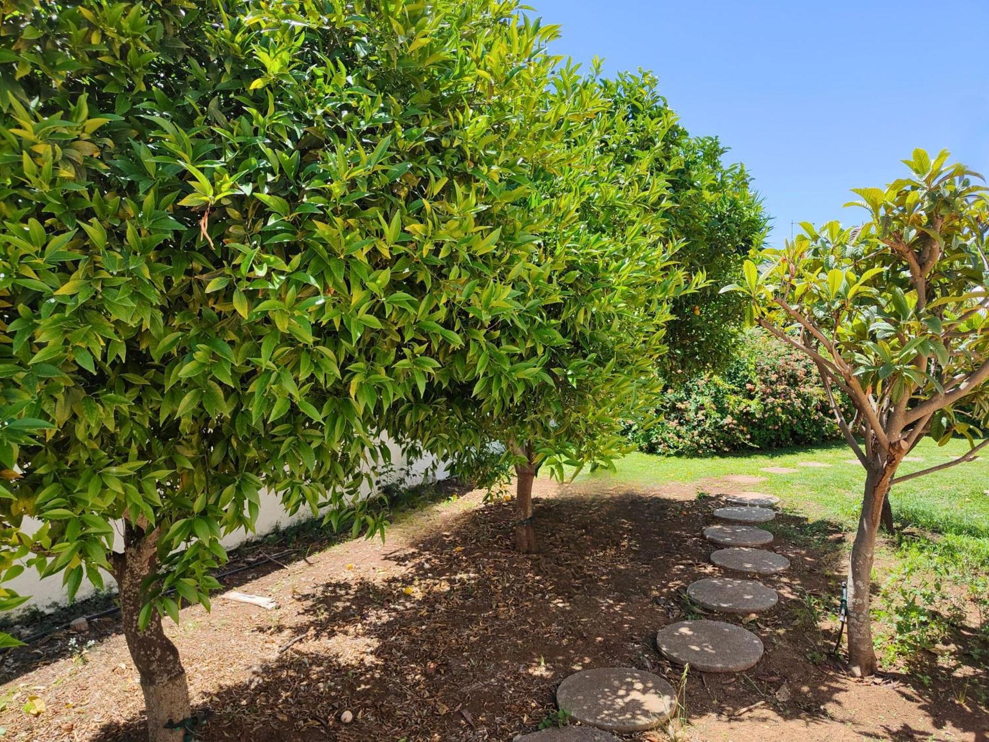 Villa Alfonsa, Fontane Bianche, Siracusa, Private Pool, 10Min From The Beach Exterior foto